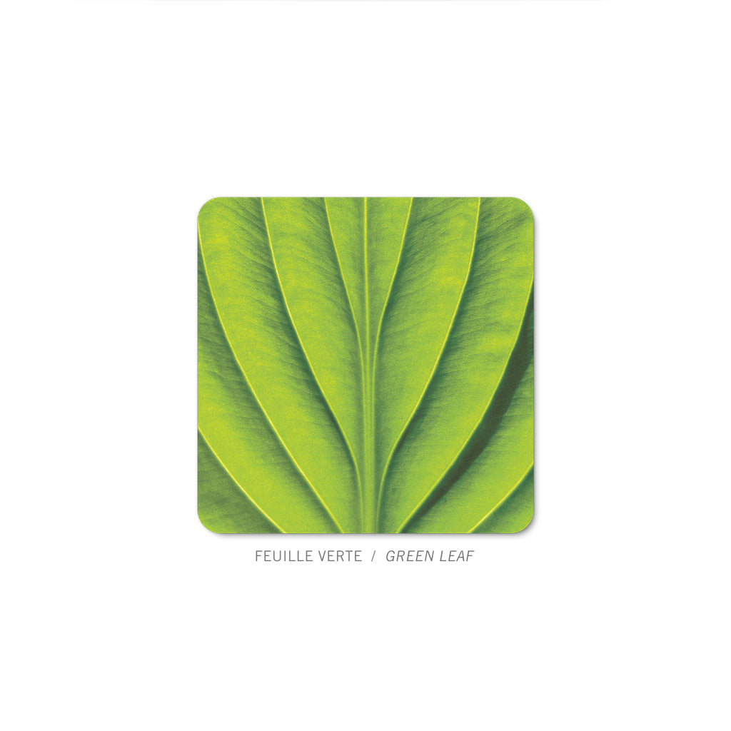NAT-MFF77R - Green leaf