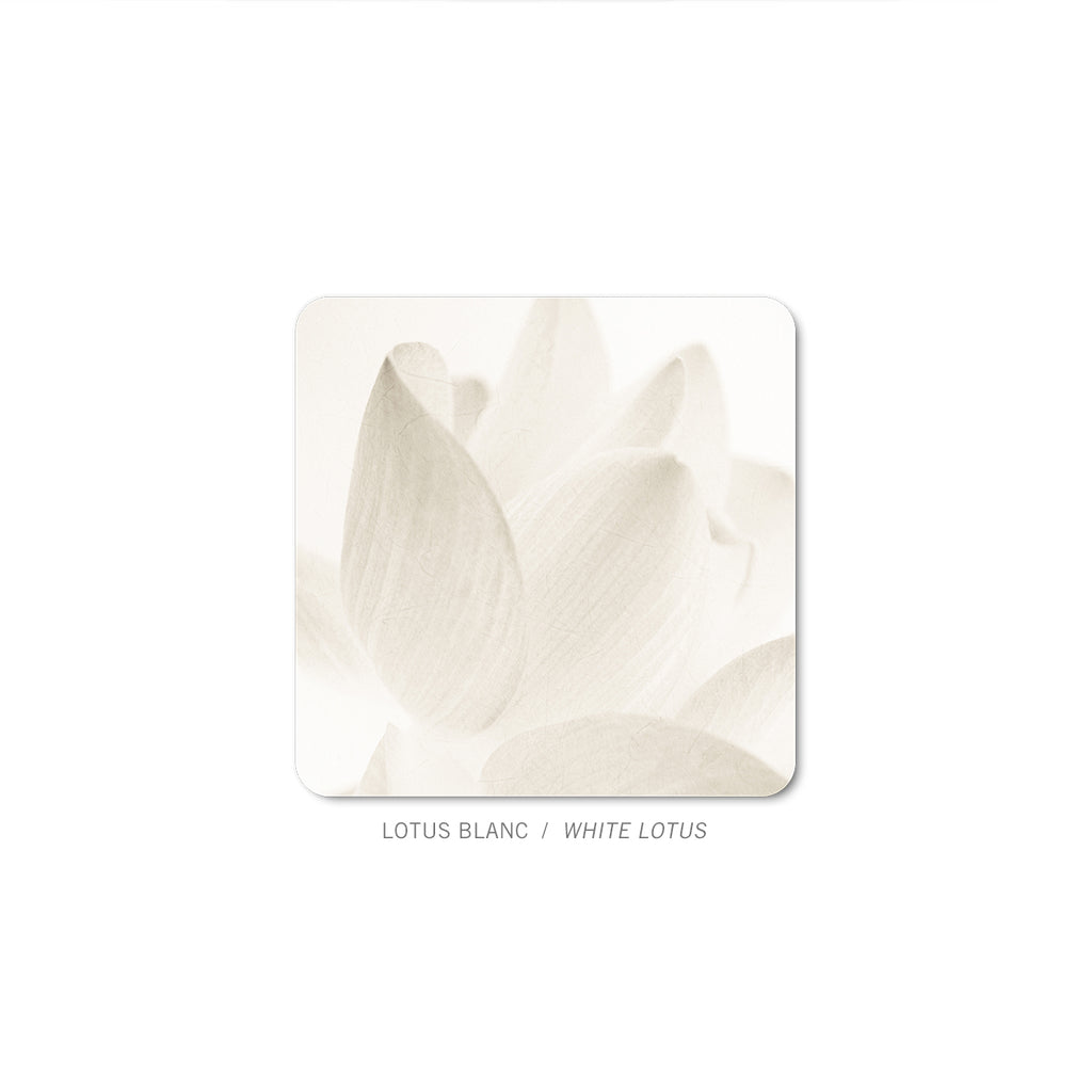 NAT-MFF77R - White lotus