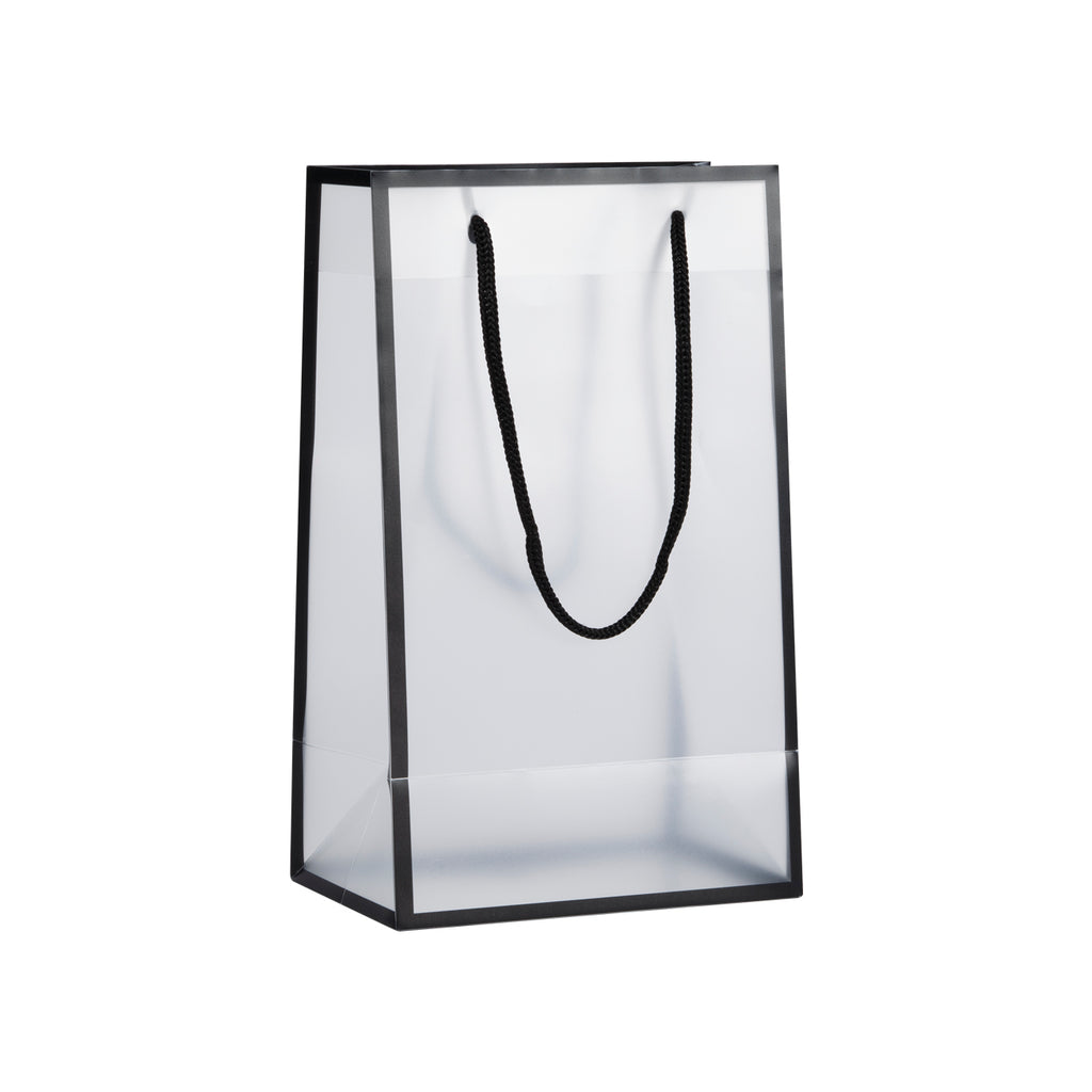 ACBAG-ICE-SMALL (Small TRANSLUCENT FROSTED shopping bag)