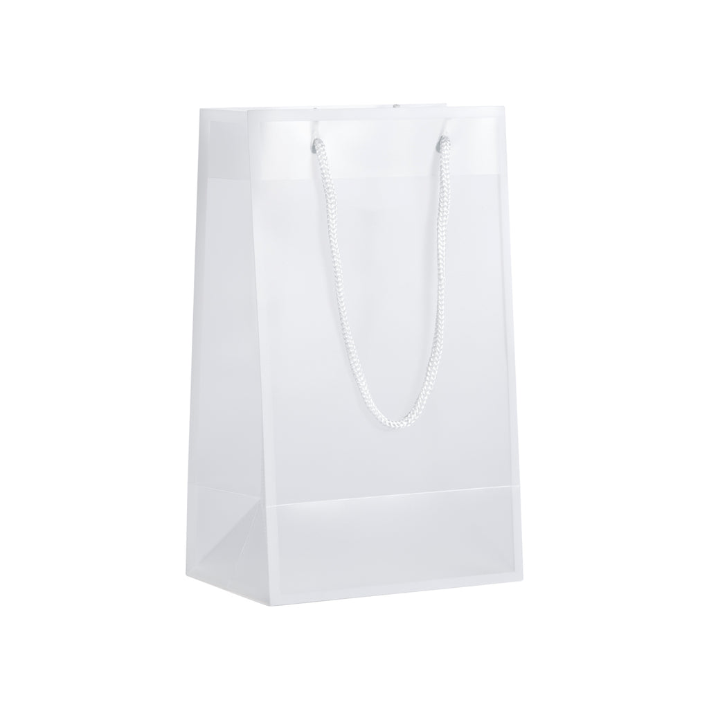 ACBAG-ICE-SMALL - CLEAR/WHITE