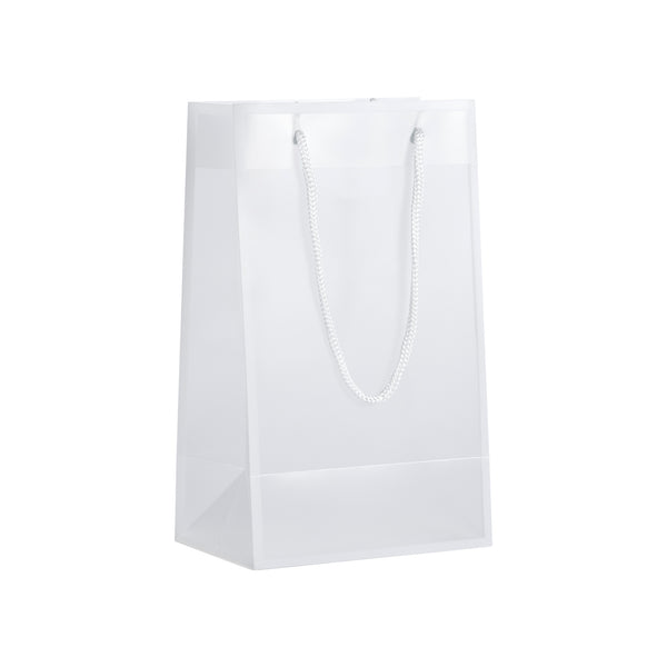 ACBAG-ICE-SMALL - CLEAR/WHITE