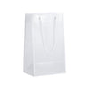 ACBAG-ICE-SMALL (Small TRANSLUCENT FROSTED shopping bag)